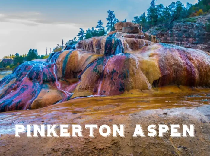 Pinkerton Aspen_ Complete Guide to Grades and Login